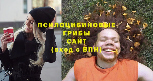 ALPHA PVP Нязепетровск
