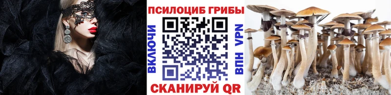 Галлюциногенные грибы MAGIC MUSHROOMS  Шадринск 